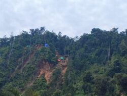 Pemerintah Kuasai Kembali 321 Hektare Tambang Ilegal, Dua Perusahaan Besar Terseret