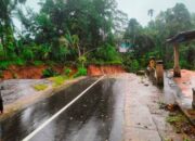Hujan Ekstrem, Sejumlah Jalan di IV Koto Aur Malintang Putus Akibat Longsor