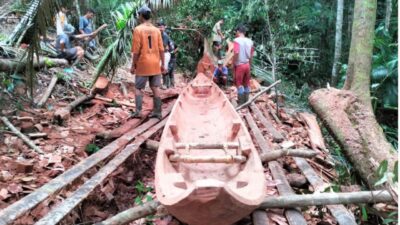 Tradisi Membuat Sampan di Desa Bojakan Mentawai, Warisan Leluhur yang Tetap Hidup