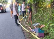 Misteri Kematian Martini di Padang Pariaman: Serpihan Spion Mengarah Dugaan Tabrak Lari