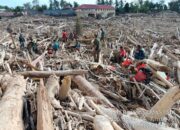 Kemenhut Tegaskan Kayu Hanyut Banjir Boleh Dimanfaatkan Terbatas untuk Kemanusiaan