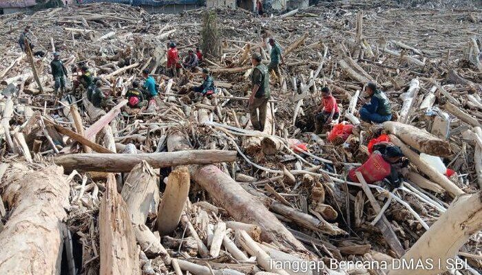 Kemenhut Tegaskan Kayu Hanyut Banjir Boleh Dimanfaatkan Terbatas untuk Kemanusiaan