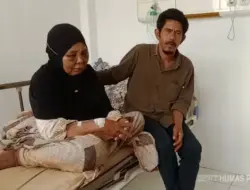 Penganiaya Nenek Penolak Tambang Emas Ilegal di Pasaman Berhasil Diamankan Polisi