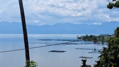 BMKG Ungkap Potensi Tsunami Danau Maninjau, Dipicu Gempa Segmen Kajai–Talamau
