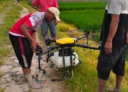 Drone Pertanian Tingkatkan Produktivitas Padi, Brigade Pangan Sidoharjo Lampung Selatan Manfaatkan Teknologi Robotik