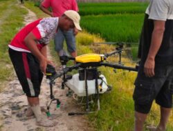 Drone Pertanian Tingkatkan Produktivitas Padi, Brigade Pangan Sidoharjo Lampung Selatan Manfaatkan Teknologi Robotik