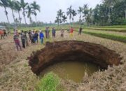 Sawah Ambles di Limapuluh Kota, Sinkhole Sedalam 20 Meter Picu Kekhawatiran Warga