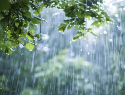 BMKG Peringatkan Cuaca Ekstrem: Siklon Luana dan Bibit Siklon 92P Picu Hujan Lebat hingga Angin Kencang di Indonesia