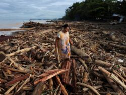Prabowo Cabut Izin 28 Perusahaan Perusak Hutan, 8 Beroperasi di Sumatra Barat