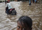 Banjir dan Longsor Terjang Tanjung Raya Agam, 20 Rumah Terendam dan Jalan Provinsi Lumpuh