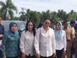 Peran Nyata Ketua TP-PKK Padang Pariaman, Dari Pemulihan Bencana hingga Pemberdayaan UMKM