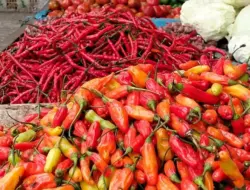 Stok Pangan Jakarta Aman Jelang Ramadan 2026, Pramono Anung Waspadai Harga Cabai dan Minyak