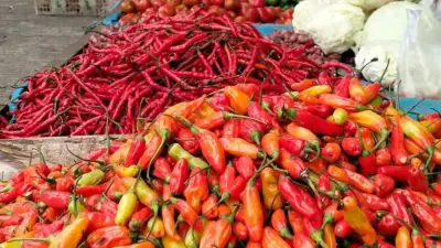 Stok Pangan Jakarta Aman Jelang Ramadan 2026, Pramono Anung Waspadai Harga Cabai dan Minyak