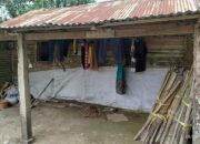 Kisah Haru di Tanah Datar, Wagub Sumbar Temui Keluarga Tinggal di Rumah Bambu 12 Tahun