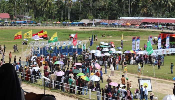 Pacu Kuda Padang Pariaman 2026 Diserbu Ribuan Pengunjung, Es Tebak Jadi Primadona Kuliner