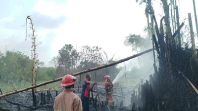 BNPB Catat 4 Bencana Besar dalam 24 Jam, Banjir hingga Karhutla Terjadi di Sejumlah Daerah