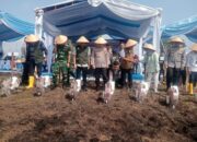 John Kenedy Azis Dukung Program Tanam Jagung Polda Sumbar, 100 Hektar Lahan Disiapkan untuk Buka Lapangan Kerja