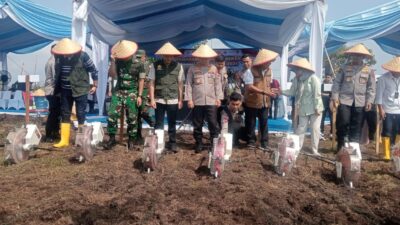 John Kenedy Azis Dukung Program Tanam Jagung Polda Sumbar, 100 Hektar Lahan Disiapkan untuk Buka Lapangan Kerja