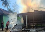 Kebakaran di Sintoga Padang Pariaman, Rumah di Toboh Gadang Hangus, Kerugian Capai Rp150 Juta