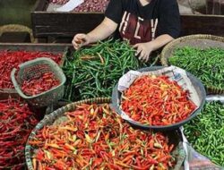 Harga Cabai di Padang April 2026 Naik, Rawit Merah Tembus Rp51 Ribu