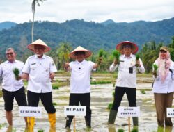 23 Hari Tuntaskan Rehabilitasi Sawah, Padang Pariaman Gelar Tanam Serentak Pascabencana
