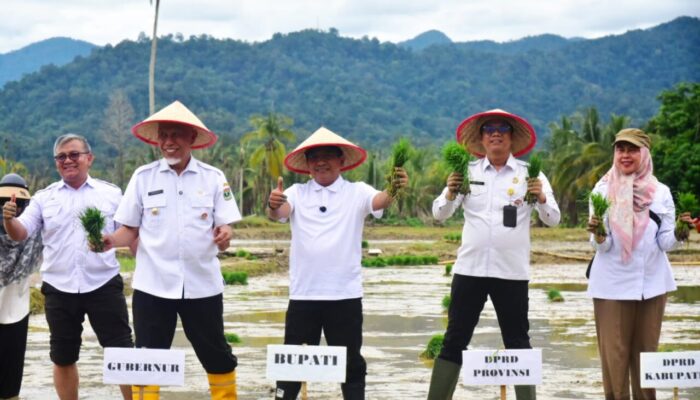 23 Hari Tuntaskan Rehabilitasi Sawah, Padang Pariaman Gelar Tanam Serentak Pascabencana