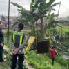Tragis! KA Argo Bromo Anggrek Tabrak Avanza di Grobogan, 4 Orang Tewas