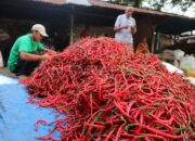 Inflasi Padang Pariaman Dipengaruhi Harga Cabai, Tarif BBM Non Subsidi Serta Harga Tiket Pesawat