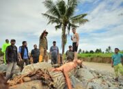 Tinjau Lokasi Banjir Terparah di Padang, Gubernur Mahyeldi Bawa Alat Berat Normalisasi Sungai Guo Kuranji