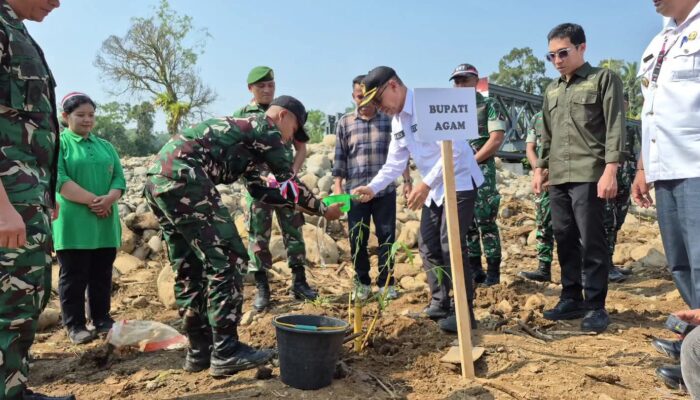 Perkuat Mitigasi Bencana, Eks Galodo Nagari Salareh Aia Ditanami Bambu dan Pohon Produktif