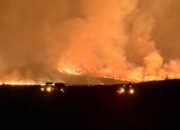 Horor! Penampakan Kebakaran Hutan Bromo Makin Meluas Dekati Pemukiman Warga