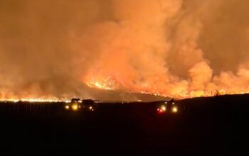 Horor! Penampakan Kebakaran Hutan Bromo Makin Meluas Dekati Pemukiman Warga
