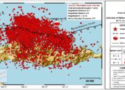 13.303 Gempa Susulan Guncang Flores Usai Gempa M7,7, BMKG Catat 177 Kali Dirasakan