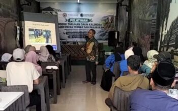 Kaliandra Jadi Pakan Ternak dan Ikan, Petani Padang Pariaman Dapat Pelatihan dan Bantuan Mesin
