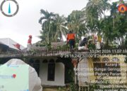Pohon Tumbang Timpa Rumah Warga di Sungai Limau, Kerugian Capai Rp45 Juta