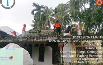 Pohon Tumbang Timpa Rumah Warga di Sungai Limau, Kerugian Capai Rp45 Juta