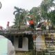 Pohon Tumbang Timpa Rumah Warga di Sungai Limau, Kerugian Capai Rp45 Juta